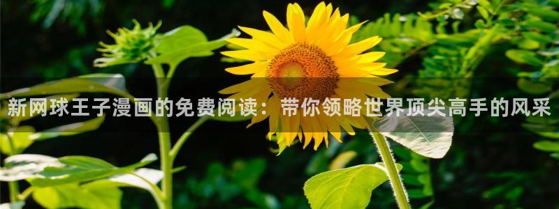 雀魂喵趣券
