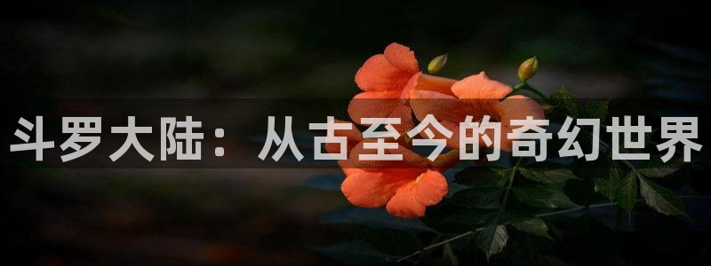 www.喵趣 top