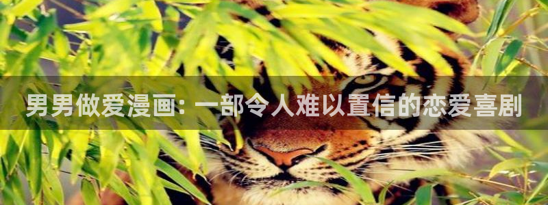 喵趣fm