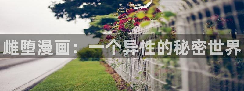 喵趣漫画新名字