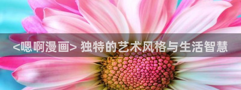 喵趣正版