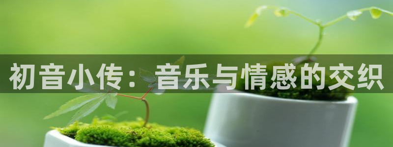 喵趣链接