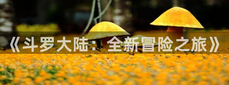 喵趣漫画v1.0.6.1：《斗罗大陆：全新冒险之旅》