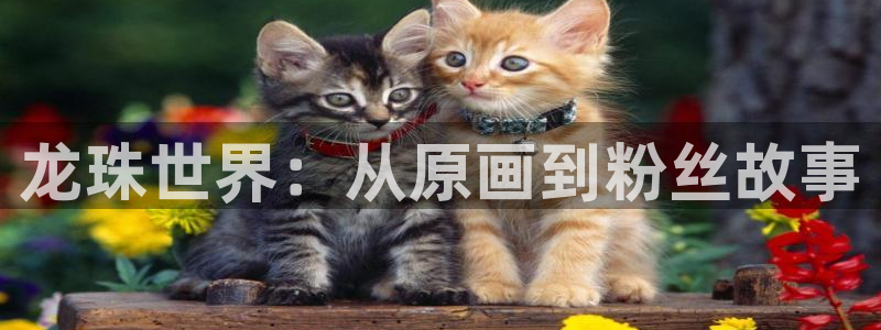 喵趣漫画链接