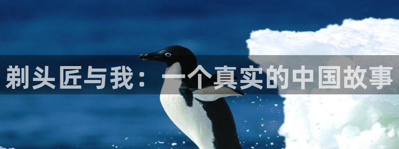 www.喵趣.top