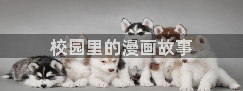 下载喵趣玩
