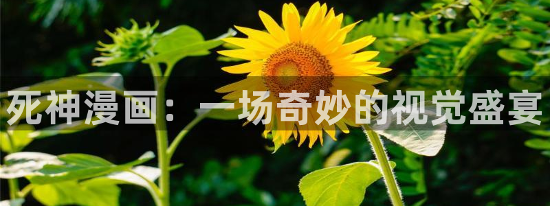 喵趣漫画官方下载2025年最新版本