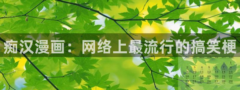 喵趣动画