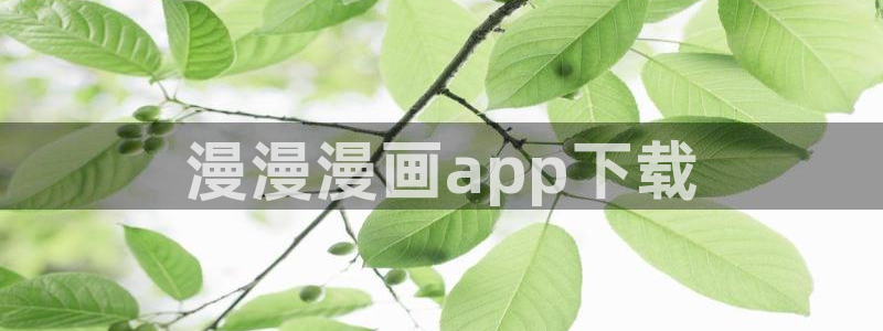 喵趣漫画最新版本2024年下载