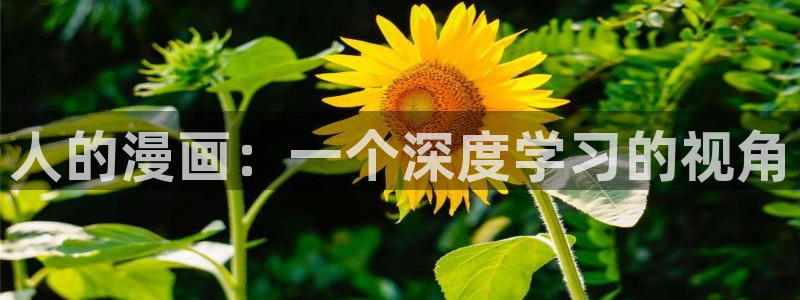 喵趣纯净版