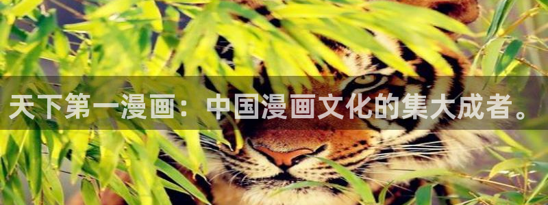 喵趣影视