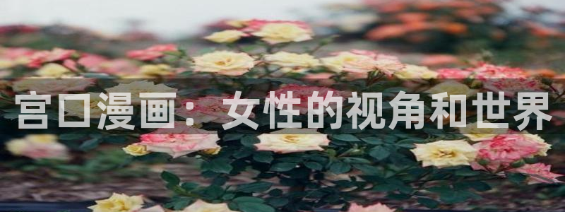 喵趣漫画免费：宫口漫画：女性的视角和世界