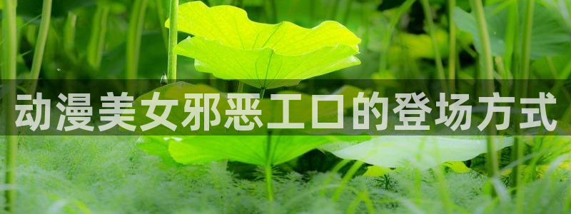 喵趣漫蛙：动漫美女邪恶工口的登场方式